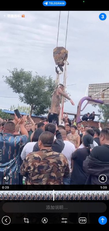 为了碎银几两真是拼了！！！辽宁锦州凌海西树林，来自海城的民间艺人 #表演 狠活 #低俗表演 #血腥 #悬挂为了碎银几两真是拼了！！！辽宁锦州凌海西树林，来自海城的民间艺人 #表演 狠活 #低俗表演 #血腥 #悬挂