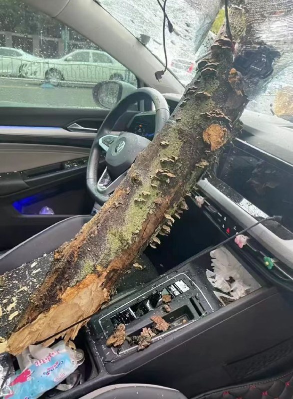 #台风 美女司机遇险#台风 美女司机遇险