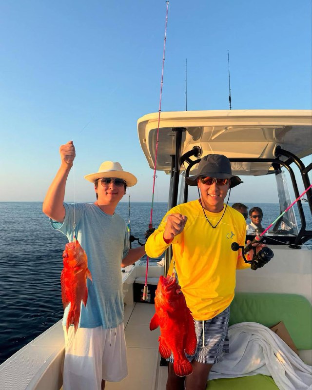 #王思聪 在 马尔代夫 钓到了东星斑 （还放走了个 #鲨鱼 🦈 #钓鱼