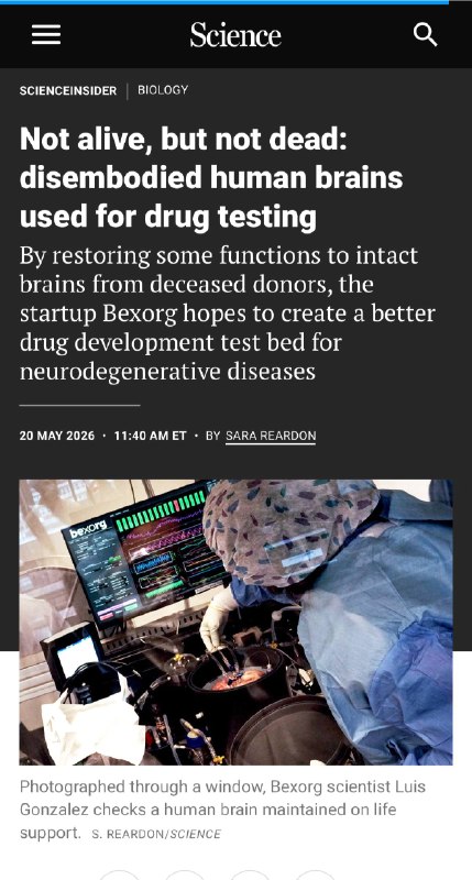 缸中之脑非生非死：离体人脑被用于药物测试一项利用“半存活”人类离体大脑进行药物测试的研究，正在重新挑战现代医学对生命与死亡边界的定义