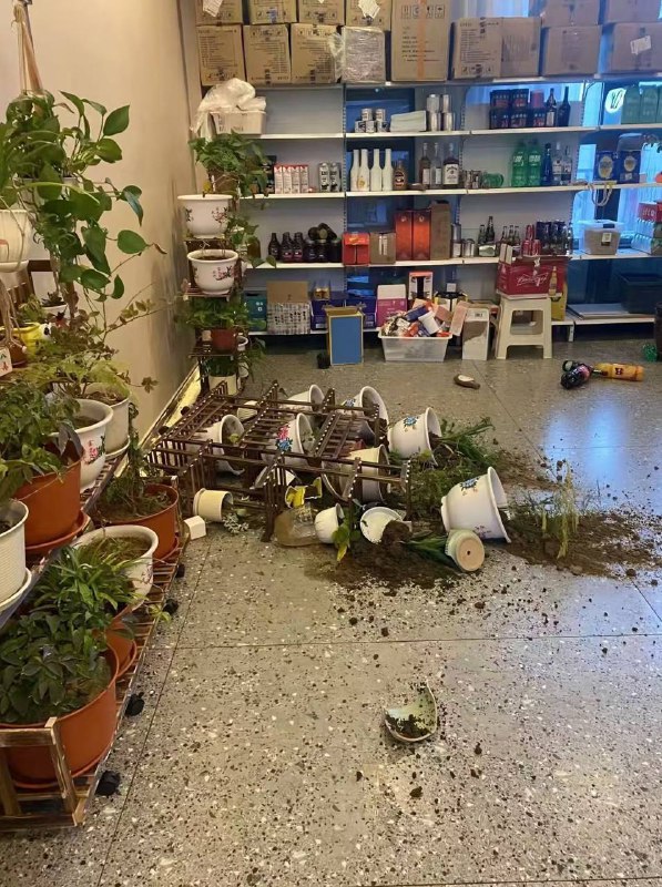 西藏 6.8级 #地震 已致36人 遇难 🙏 南方＋记者 从 日喀则 相关方面获悉，截至2025年1月7日11时23分，定日县已有32人死亡，38人受伤，1000余户房屋倒塌；拉孜县2人死亡，15人受伤；萨迦县2人受伤，39户房屋倒塌；拉孜县2人死亡，15人受伤