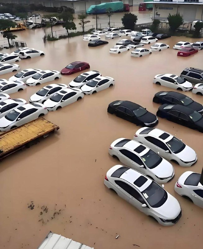 车主要哭死一大片～#长沙暴雨by 匿名投稿车主要哭死一大片～#长沙暴雨by 匿名投稿