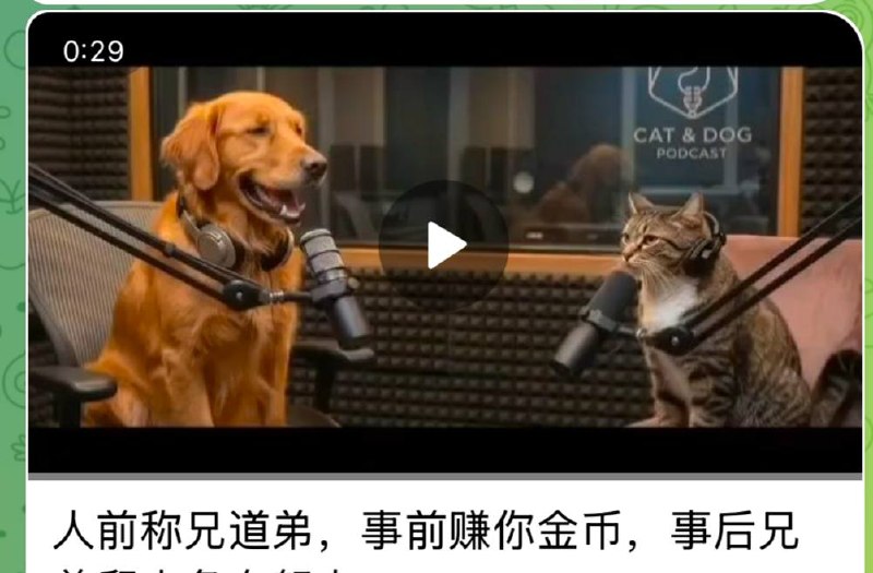 欢迎家人们投稿哦！😂😂 #通知关于此群，有几点跟大家说一下哈：本群始终保持中立立场，不介入任何政治派系争端，亦不代表任何政治倾向！群内发布的内容（如截图中视频）均由各界网友自发投稿