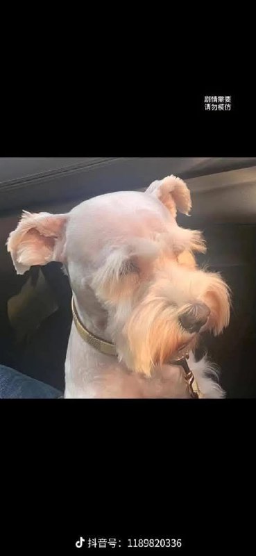 #搞笑 #下集#搞笑 #下集