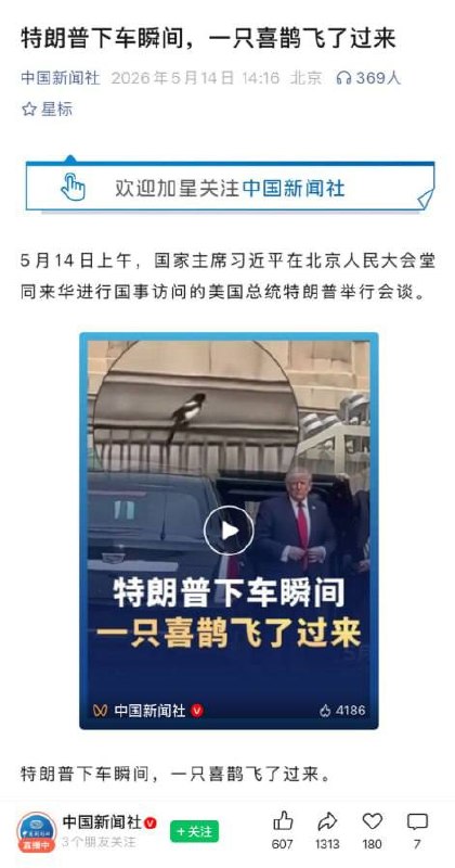 5月14日，中国新闻社发文：《特朗普下车瞬间，一只喜鹊飞了过来》感谢家人们投稿！5月14日，中国新闻社发文：《特朗普下车瞬间，一只喜鹊飞了过来》感谢家人们投稿！