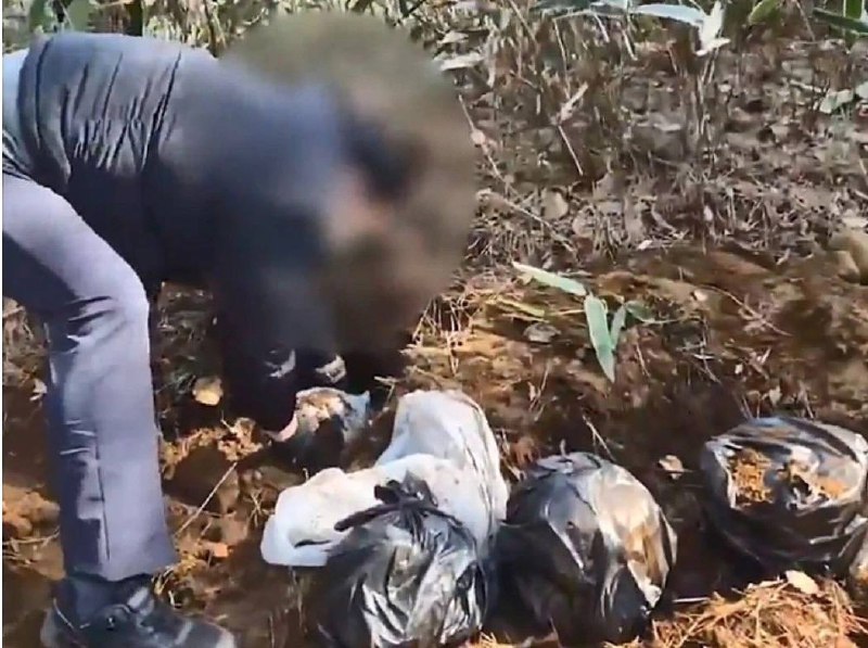 #韩国 新闻：韩国济州岛惊现“骨灰 绑架案” 中国 籍嫌犯勒索28亿被全球通缉！2月24日凌晨1时许，地点位于济州市内一座知名寺庙的骨灰堂（봉안당）