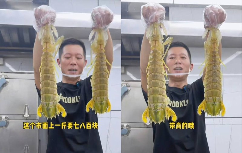投稿：据说是三亚1035元皮皮虾事件游客个人和公司信息，该游客小红书删帖改名跑路了！#三亚 #皮皮虾投稿：据说是三亚1035元皮皮虾事件游客个人和公司信息，该游客小红书删帖改名跑路了！#三亚 #皮皮虾