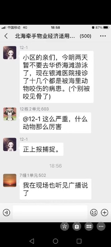 #北海 海滩不明物种伤人#北海 海滩不明物种伤人