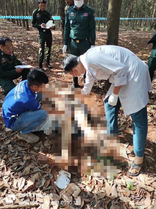 虐杀同胞后抛尸 6中国人在园区内被捕柬埔寨特本克蒙省一处橡胶园内发现一具无名男尸，生前被残忍杀害后抛尸，经警方调查后以涉嫌谋杀罪名，在一园区内抓捕了6名中国男子