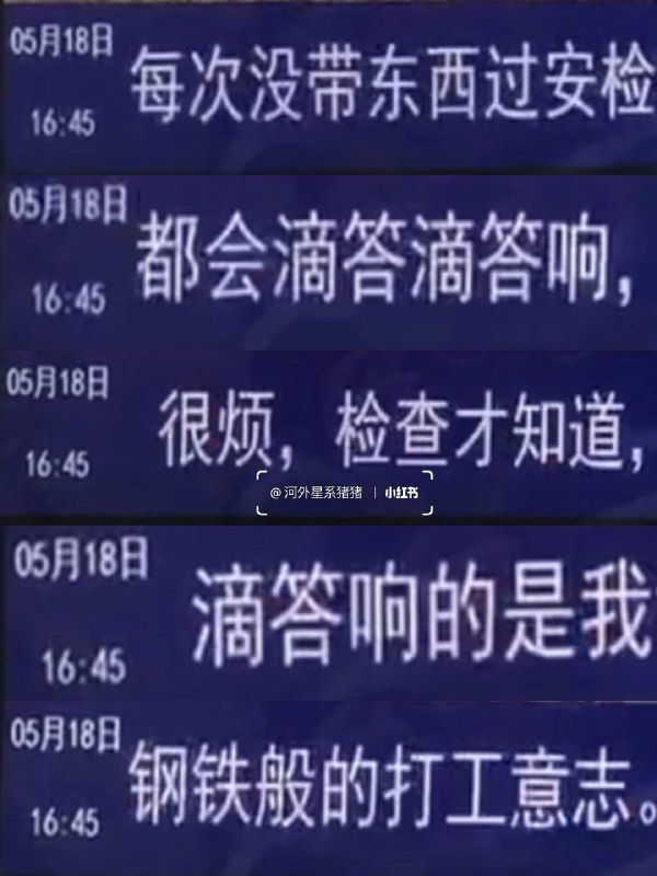 #厦门 地铁🚇的树洞#厦门 地铁🚇的树洞