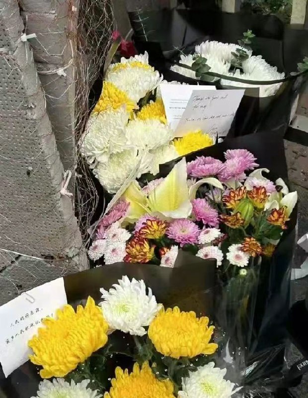 合肥红星路80号🙏🙏🙏#合肥 #李克强合肥红星路80号🙏🙏🙏#合肥 #李克强