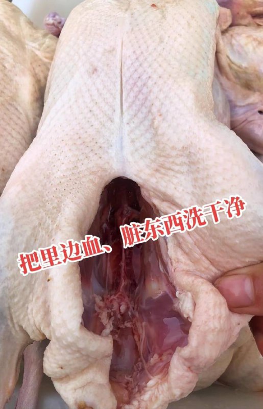 烧鸭 #科技与狠活 色素加25元冰冻白条鸭就是这样制作的by 匿名投稿烧鸭 #科技与狠活 色素加25元冰冻白条鸭就是这样制作的by 匿名投稿