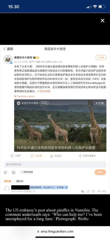 #失业的中国🇨🇳人在美国🇺🇸驻中国大使馆的微博账户上发布求救🆘寻求帮助一位评论者说：“谁能帮助我？当中国公民在习近平领导下应对停滞不前的经济时，我已经失业很久了