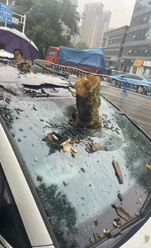 #台风 美女司机遇险#台风 美女司机遇险