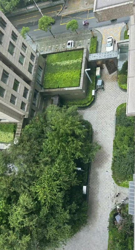 30日，江苏 #南通，海安中洋高尔夫，女司机一脚油门，把小区后门撞毁了，一头栽进花圃中，看这距离，当时这速度也太快了