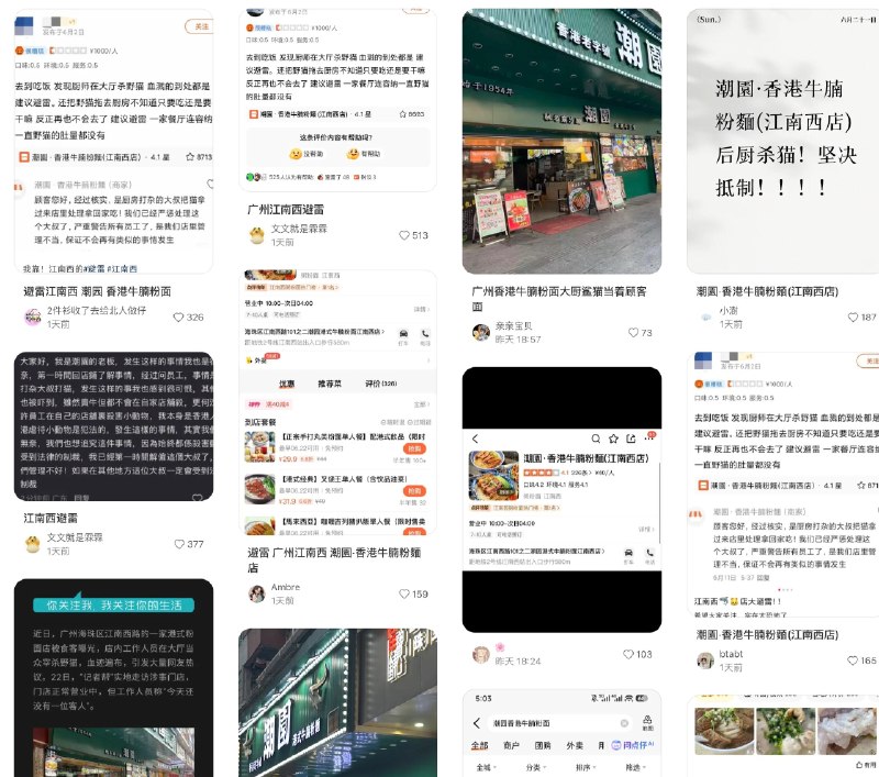 广州一餐厅（潮园香港牛腩粉面）大厅当众宰杀野猫血迹遍地，被曝光后遭网友抵制，涉事门店冷清无一客人：已解雇涉事钟点工并进行消杀；监管部门已立案