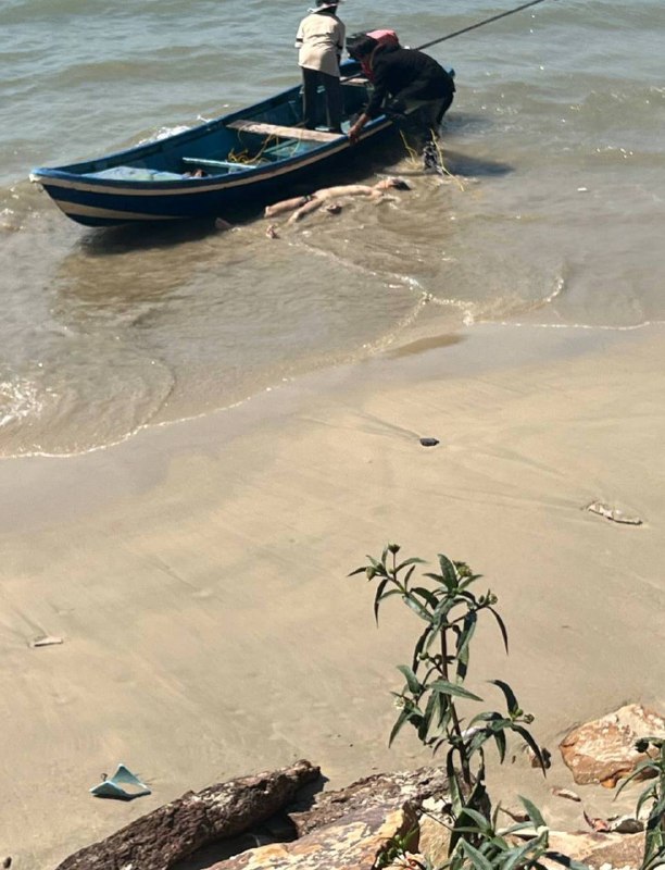 1月7日 柬埔寨 戈贡海岸，飘来一具 中国 籍 男子尸体#柬埔寨感谢家人们投稿！1月7日 柬埔寨 戈贡海岸，飘来一具 中国 籍 男子尸体#柬埔寨感谢家人们投稿！