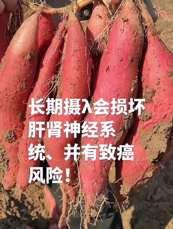 致命毒红薯已流遍20多省现在啥啥都有毒......食品安全问题日渐严重前两天才买了红薯，长得挺好看的，放那儿还没吃，不知道是不是天门挖出来的，所以，还能吃吗？ ​感谢家人们投稿！致命毒红薯已流遍20多省现在啥啥都有毒......食品安全问题日渐严重前两天才买了红薯，长得挺好看的，放那儿还没吃，不知道是不是天门挖出来的，所以，还能吃吗？ ​感谢家人们投稿！