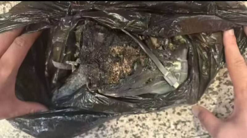 1月5日，上海地铁15号线上海西站，一男子随身携带的充电宝自燃，身上瞬间冒出明火，他急冲下电梯，现场工作人员发现后迅速用灭火器将火扑灭