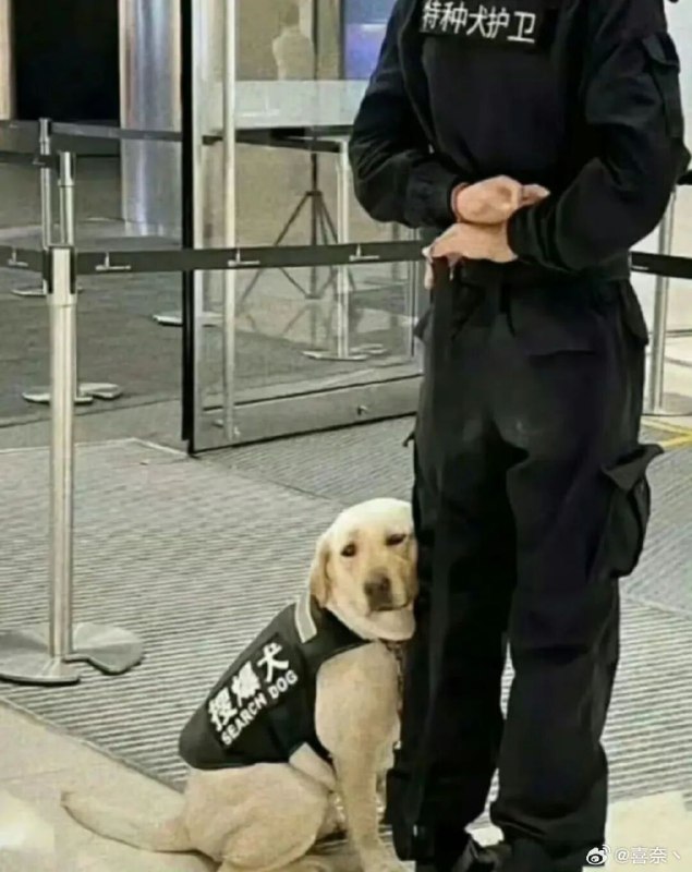 作风优良被通报批评了感谢家人们投稿！作风优良被通报批评了感谢家人们投稿！