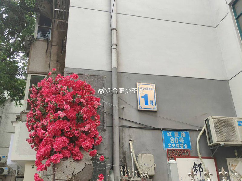 合肥 民众前往 #李克强 故居 献花 💐合肥 民众前往 #李克强 故居 献花 💐