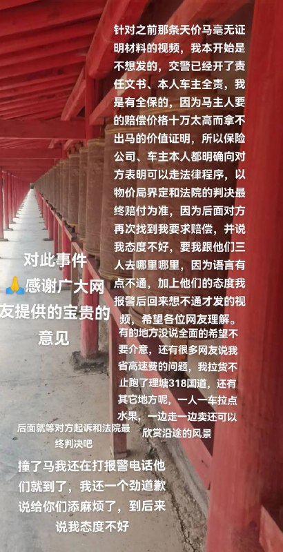 理塘惊现十万天价马