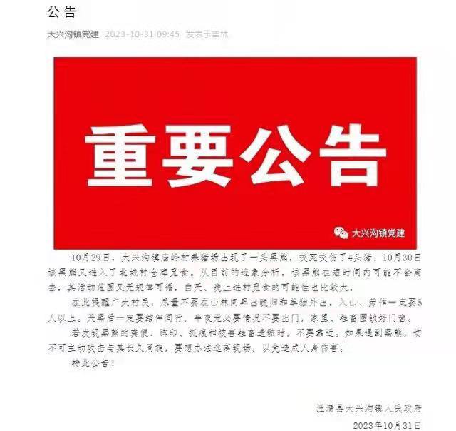 10月29日，大兴沟镇庙岭村养猪场出现了一头 #黑熊，咬死咬伤了4头猪；10月30日该黑熊又进入了北城村仓库觅食