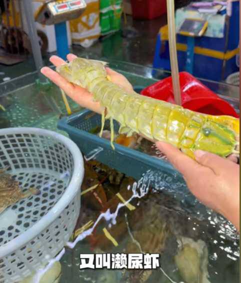 “4只皮皮虾买单时收费1035元”的这家三亚店主在事发后的次日竟然离奇病逝，年仅43岁！其家人称其有基础病，事发前已脑出血，事发后店铺收到多起威胁电话，因此就不打算继续开业了