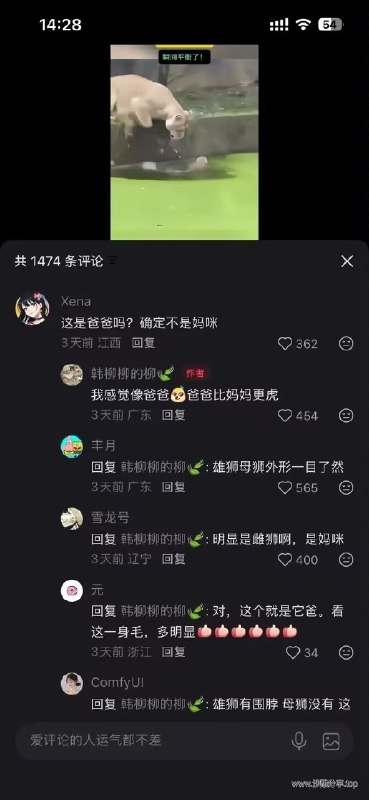 感谢家人们投稿！感谢家人们投稿！