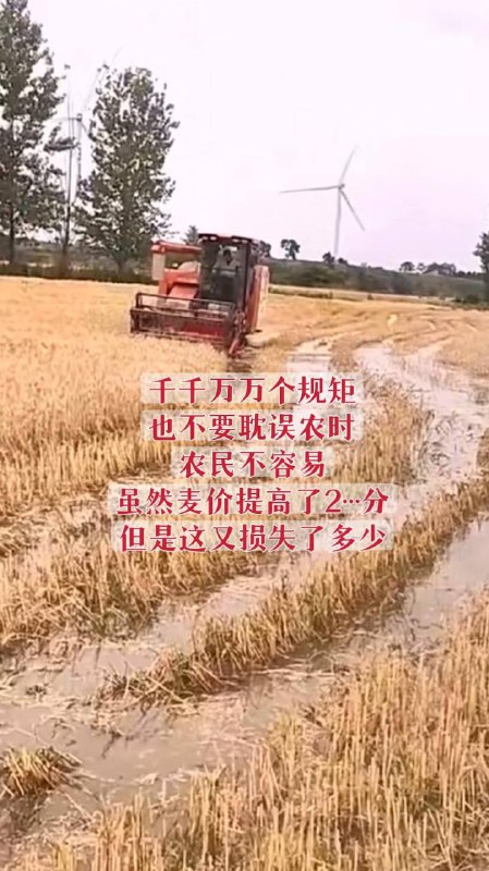 小麦收割机扣押在高速收费站，河南南阳、河南各地高速每天几百台收割机因超宽超高无法下高速，查超宽、超高，查收割机各种作业证