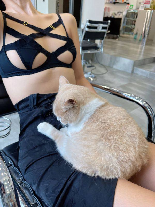 #阿朱 的 #猫猫头 🐱#阿朱 的 #猫猫头 🐱