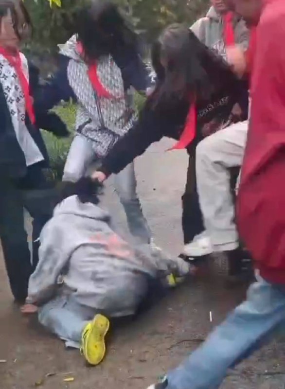 红领巾 #学生 #霸凌 #畜生 社会影响恶劣，教育局回复：正在核实调查11月29日，云南 富源县融媒体中心头条号发布情况通报： 近日，网传富源县老厂小学一学生被打视频，经初步核查情况属实