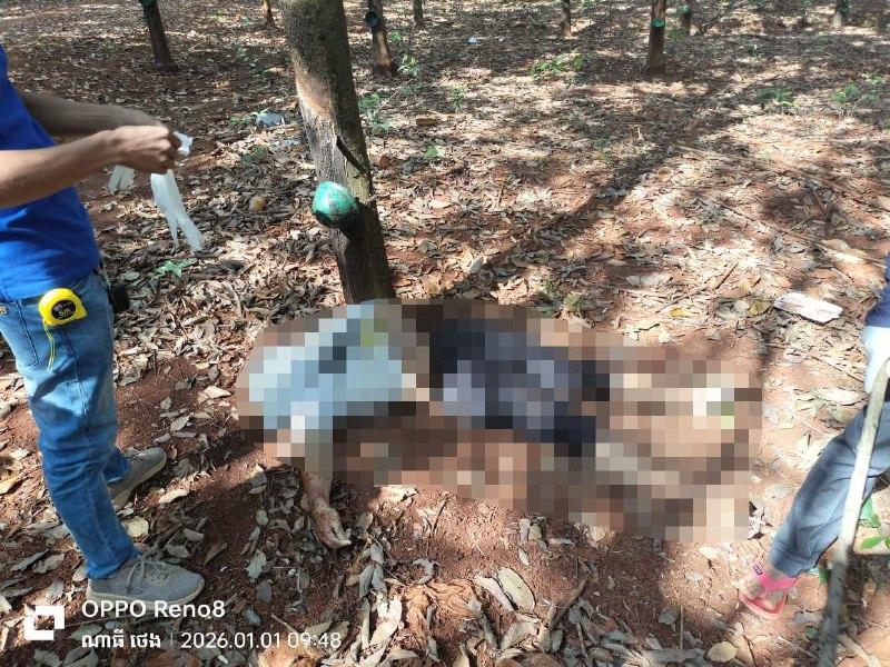 虐杀同胞后抛尸 6中国人在园区内被捕柬埔寨特本克蒙省一处橡胶园内发现一具无名男尸，生前被残忍杀害后抛尸，经警方调查后以涉嫌谋杀罪名，在一园区内抓捕了6名中国男子