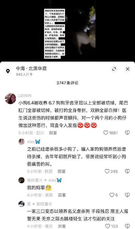 6月7日，重庆，一网友曝光：山姆打包哥 伪装成女性，骗取狗狗领养后、虐杀狗狗