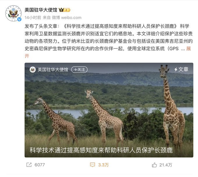 【#美国大使馆微博 被A股 #股民 刷屏ing!】一条保护 #长颈鹿 的贴子下方已有三万多条评论, 直白得惊人！by 匿名投稿【#美国大使馆微博 被A股 #股民 刷屏ing!】一条保护 #长颈鹿 的贴子下方已有三万多条评论, 直白得惊人！by 匿名投稿