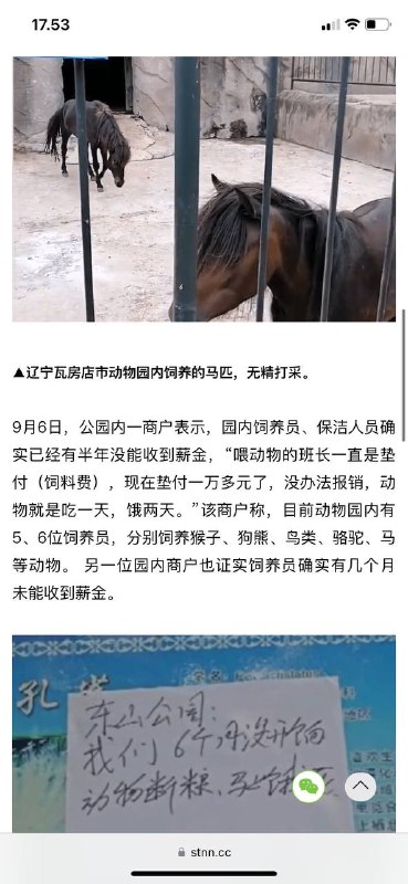 #辽宁动物园讥饿 快断粮 危机🆘#辽宁动物园讥饿 快断粮 危机🆘