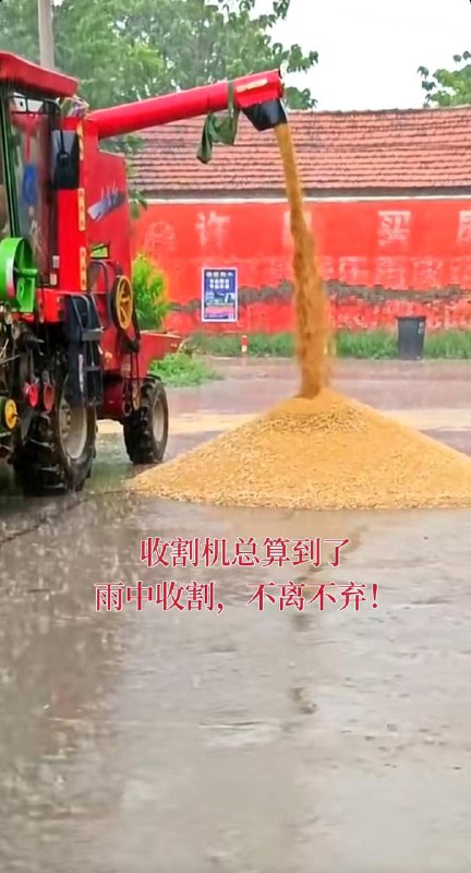 小麦收割机扣押在高速收费站，河南南阳、河南各地高速每天几百台收割机因超宽超高无法下高速，查超宽、超高，查收割机各种作业证