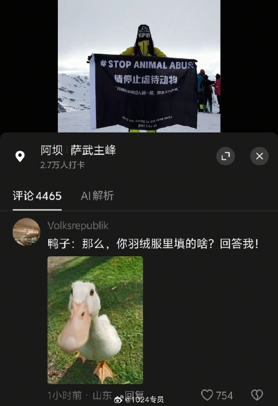 动保人士登上萨武神山，呼吁停止虐待动物！感谢家人们投稿！动保人士登上萨武神山，呼吁停止虐待动物！感谢家人们投稿！