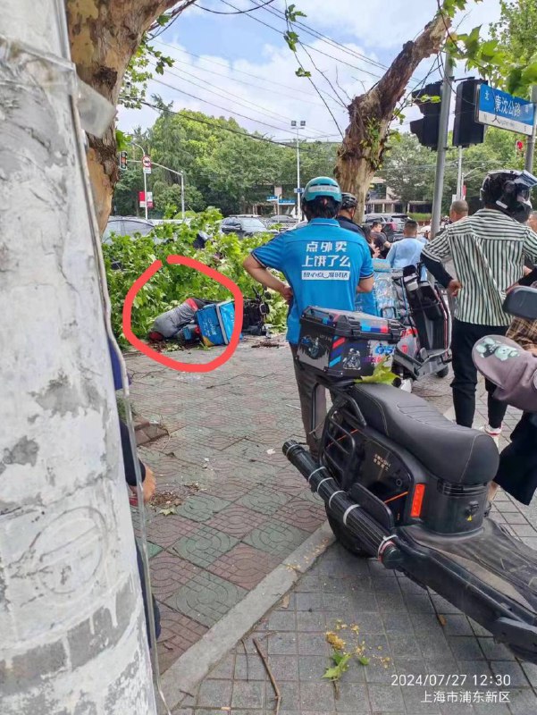 7.27 上海，外卖小哥被大树砸中死亡 #台风by 匿名投稿7.27 上海，外卖小哥被大树砸中死亡 #台风by 匿名投稿