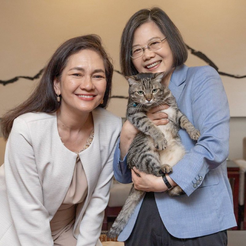 #蔡英文： 由于越来越多的支持， #台湾 Taiwan已成为全世界的关键词