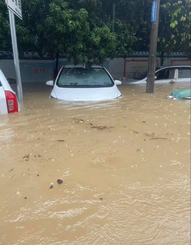 车主要哭死一大片～#长沙暴雨by 匿名投稿车主要哭死一大片～#长沙暴雨by 匿名投稿