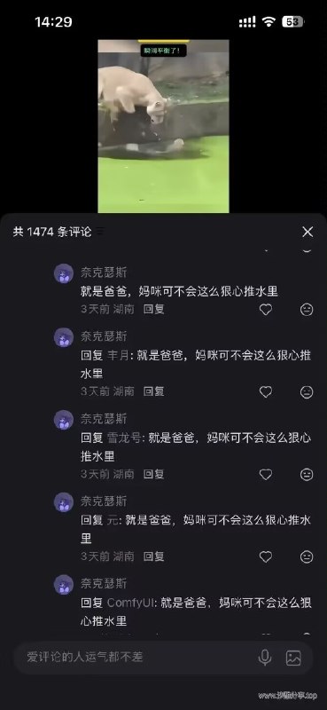 感谢家人们投稿！感谢家人们投稿！