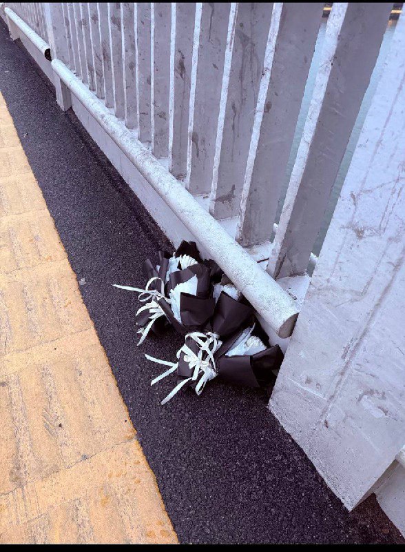 3月17日，橘子洲大桥