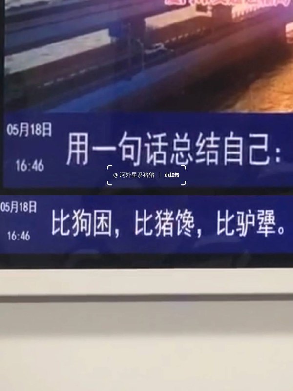 #厦门 地铁🚇的树洞#厦门 地铁🚇的树洞