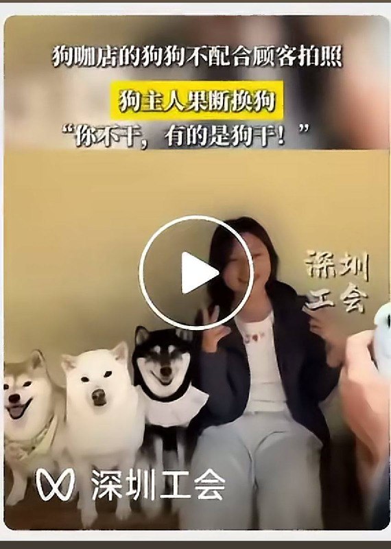 5月23日，“深圳工会” 报道称：狗咖店的狗狗不配合拍照，狗主人果断换狗：“你不干，有的是狗干！”目前，深圳工会已删除这则视频