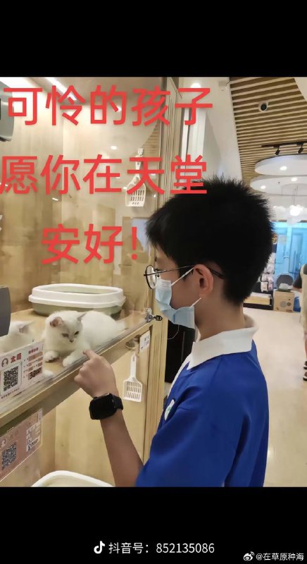 深圳市莲花中学南校区13岁男生 #坠亡by 匿名投稿深圳市莲花中学南校区13岁男生 #坠亡by 匿名投稿