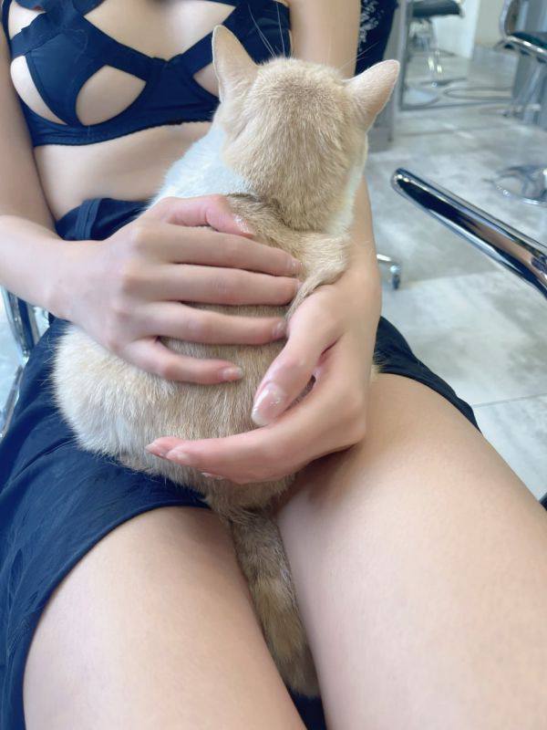 #阿朱 的 #猫猫头 🐱#阿朱 的 #猫猫头 🐱