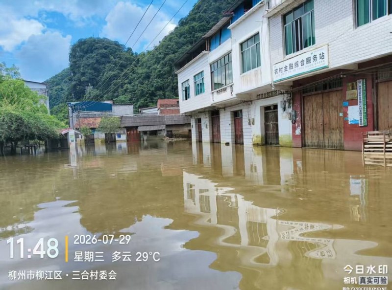柳州三合村，泡了几个月了，水都变绿了，没人管柳州三合村，泡了几个月了，水都变绿了，没人管