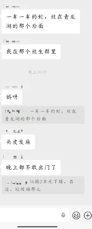 网传成都青龙湖有人放生4480条毒蛇
