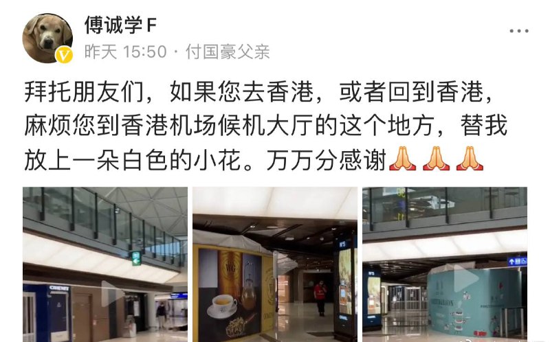 #付国豪 父亲：拜托朋友们，如果您去香港，或者回到香港，麻烦您到香港机场候机大厅的这个地方，替我放上一朵白色的小花